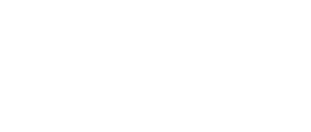 Premier Bride Logo